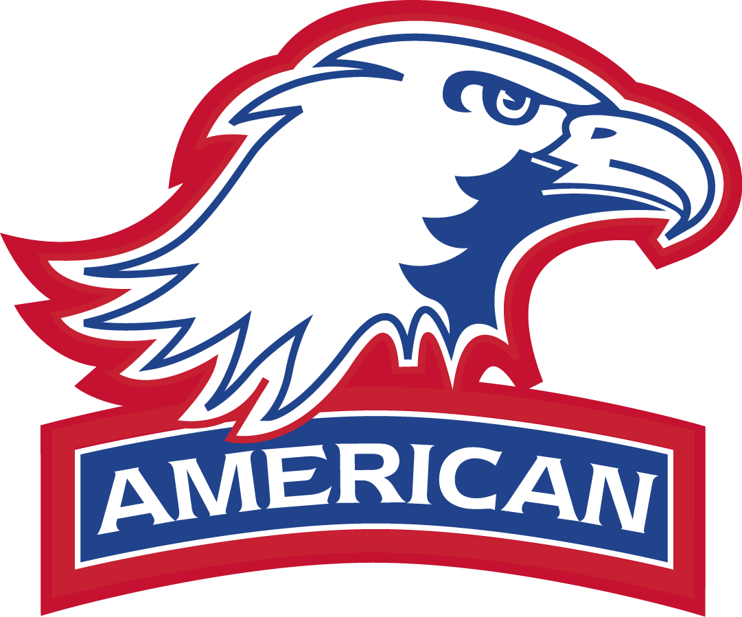 American Eagles 2010-Pres Secondary Logo diy DTF decal sticker